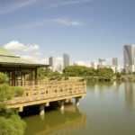 Powolne życie według KAYAK-a