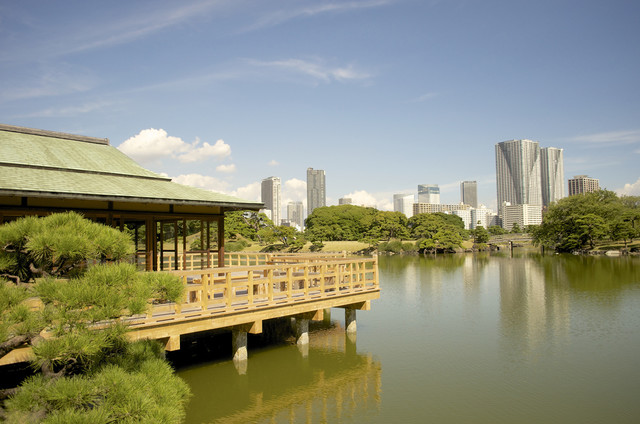 Powolne życie według KAYAK-a