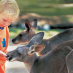 Dalekie podróże Polaków – najpopularniejsze kierunki