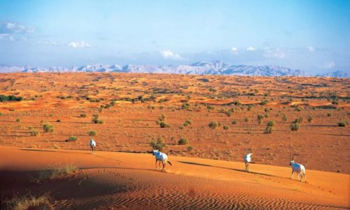 Grupa Emirates publikuje swój trzeci raport środowiskowy