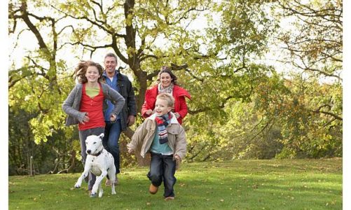 Przed nami przedłużony weekend wielkanocny, a potem majówka