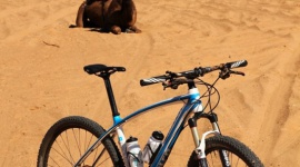 Polacy, rowery i piaski Sahary… LIFESTYLE, Podróże - Piaszczysto-kamieniste tereny marokańskiej Sahary i potężne masywy górskie – to ostatni z celów polskiej grupy rowerowej United Cyclists, która od lat jednośladami przemierza najciekawsze i równocześnie mało przyjazne człowiekowi regiony świata.