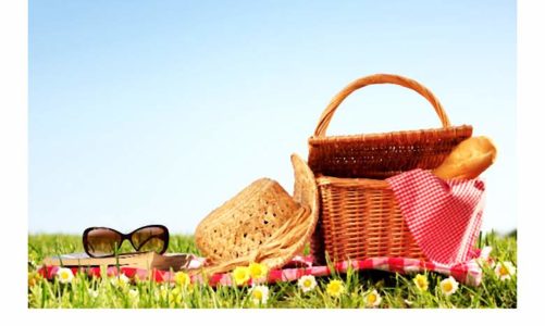Piknik?! Czego potrzebujemy, by zorganizować doskonały piknik?