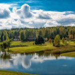 Odkrywamy Puszczę Knyszyńską – Tatarzy, żubry, przyroda…