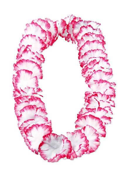 Hawajskie kwiaty ALOHA (1)-010-2014-07-02 _ 23_59_08-72