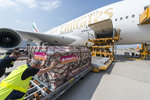 A380_Emirates_50th_04.jpg