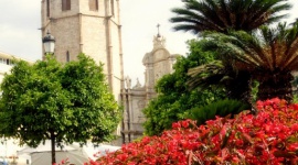 Pierwsza Europejska Nagroda Pogodowa dla Walencji LIFESTYLE, Podróże - Walencja, jako miasto na kilkudniową wycieczkę, zdobyła pierwszą w historii Europejską Nagrodę Pogodową. Z kolei najlepszym miastem w Polsce, gdzie pogoda sprzyja pobytowi turystów, został ogłoszony Kraków.