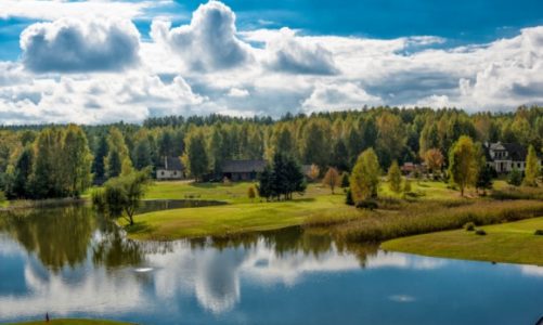 Puszcza Knyszyńska – idealna na polowanie ze sztucerem… lub aparatem