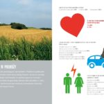 W roku 2015 sześciu na dziesięciu Polaków pojedzie na wakacje samochodem