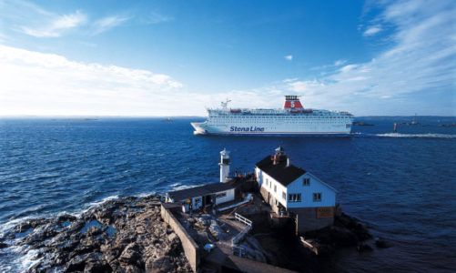 Delfiny u wybrzeży Karlskrony