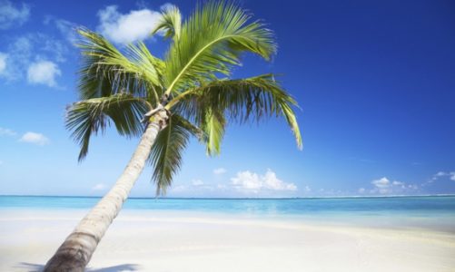 Egzotyczne wyjazdy coraz popularniejsze