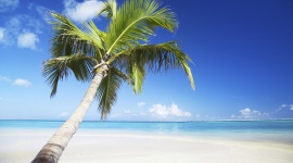 Egzotyczne wyjazdy coraz popularniejsze LIFESTYLE, Podróże - Według analiz największego pośrednika wyjazdów turystycznych Travelplanet.pl, rośnie zainteresowanie Polaków egzotycznymi podróżami. A w tym roku będzie taniej niż w ubiegłym.