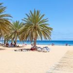 Słoneczne wakacje w Europie? Tylko na Teneryfie!