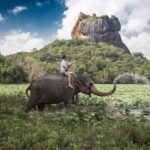 Dzień z życia Lankijki