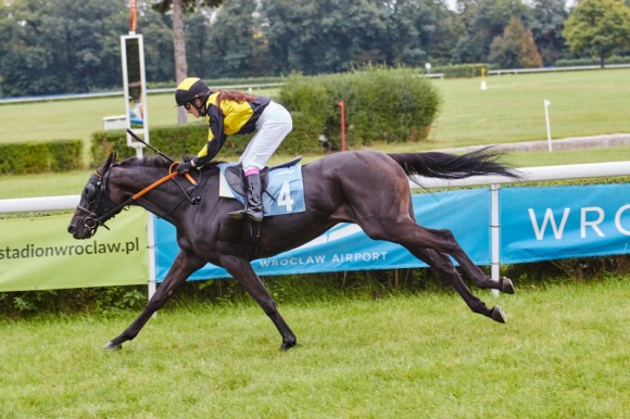 Lotnisko ląduje na Partynicach. Odlotowa niedziela z atrakcjami LIFESTYLE, Podróże - Spotkania z pracownikami Portu Lotniczego Wrocław, pokazy wozów bojowych Lotniskowej Straży Pożarnej, bogata oferta biur podróży, bicie rekordu Guinnessa, a do tego wielka dawka sportowych emocji.