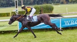 Lotnisko ląduje na Partynicach. Odlotowa niedziela z atrakcjami