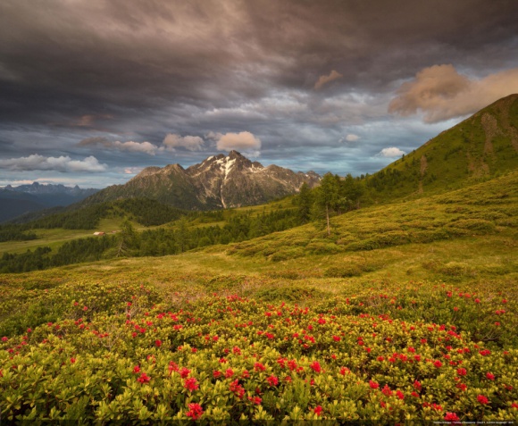 Pięć szlaków na wędrówki z dzieckiem we włoskim Trentino