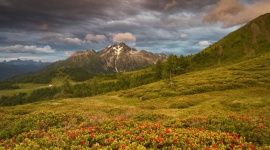 Pięć szlaków na wędrówki z dzieckiem we włoskim Trentino LIFESTYLE, Podróże - Jest wiele tras – nie tylko w miastach, ale również na łonie natury – które umożliwiają aktywny wypoczynek z pociechą. Część z nich leży na obszarze malowniczego włoskiego regionu Trentino. Przedstawiamy pięć - wartych uwagi - szlaków.