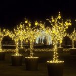 Na Otwarcie Królewskiego Ogrodu Światła będą bić Rekord Polski