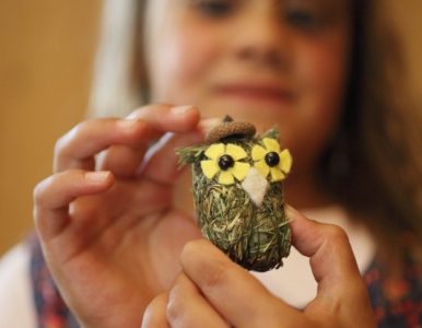 „Zrób to sam” – uwolnij swoją kreatywność w gospodarstwach Roter Hahn