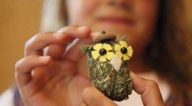 „Zrób to sam” - uwolnij swoją kreatywność w gospodarstwach Roter Hahn LIFESTYLE, Podróże - Podczas urlopu w gospodarstwie zrzeszonym w ramach organizacji Roter Hahn, goście mogą się zrelaksować i wypocząć w przytulnych apartamentach, obserwując przez okno zimowy krajobraz niezwykłej okolicy.