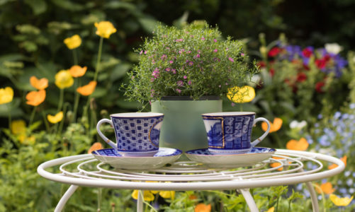 Zatrzymaj się i powąchaj kwiaty. Pięć sposobów na klimatyczną majówkę w Londynie