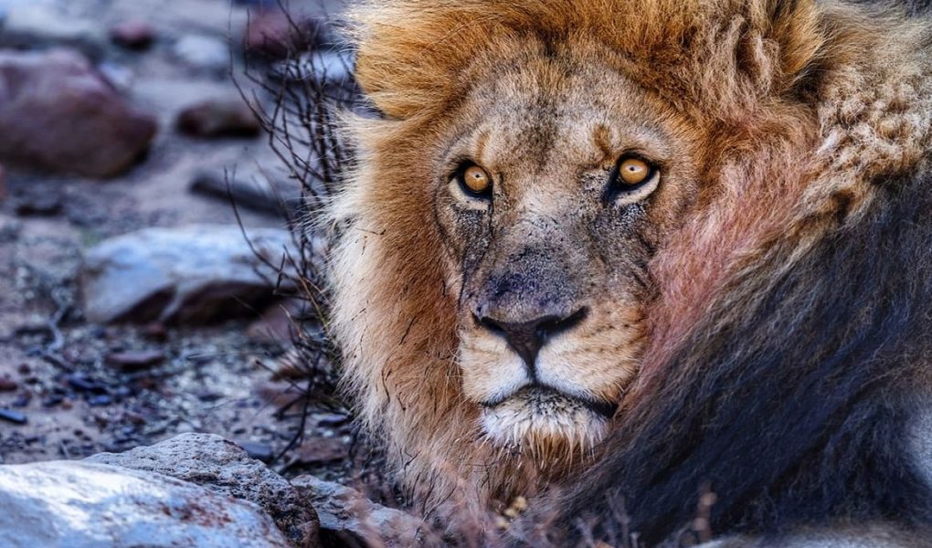 Możliwości najnowszego Fujifilm GFX 50R w fotografii podróżniczej Jacka Boneckiego