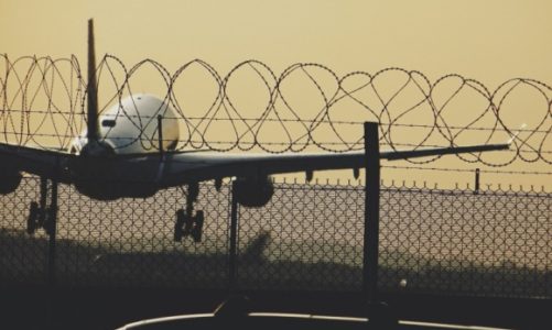 Ptak uderza w samolot co 24 minuty: czy powinieneś się obawiać?