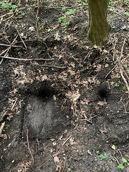 Właz w Mamerkach już odkryty LIFESTYLE, Podróże - Zgodnie z zapowiedziami Muzeum w Mamerkach, w czwartek 27 czerwca odsunięty został właz, nienaruszany od czasów II wojny światowej.