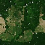 Satelitarna rewolucja w rolnictwie