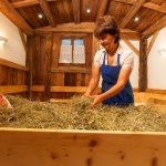 Oferta wellness w gospodarstwach Roter Hahn