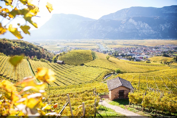 Pokój z widokiem na winnicę LIFESTYLE, Podróże - Winiarnie to wyjątkowe miejsca, w których łączy się przyjemność dla podniebienia z odkrywaniem najstarszych tradycji tego regionu. Włoski region Trentino to region bogaty w sieć urokliwych winnic, w których można również zatrzymać się na nocleg.