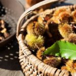 Sezon na młode wino i kasztany w gospodarstwach Roter Hahn