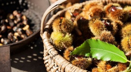 Sezon na młode wino i kasztany w gospodarstwach Roter Hahn LIFESTYLE, Podróże - Południowy Tyrol położony w północnych Włoszech zachwyca o każdej porze roku. Malowniczą jesienią gospodarstwa Roter Hahn zapraszają na klimatyczny wypoczynek w pięknych okolicznościach przyrody połączony z odkrywaniem niezwykłej kultury i tradycji regionu i jego mieszkańców.